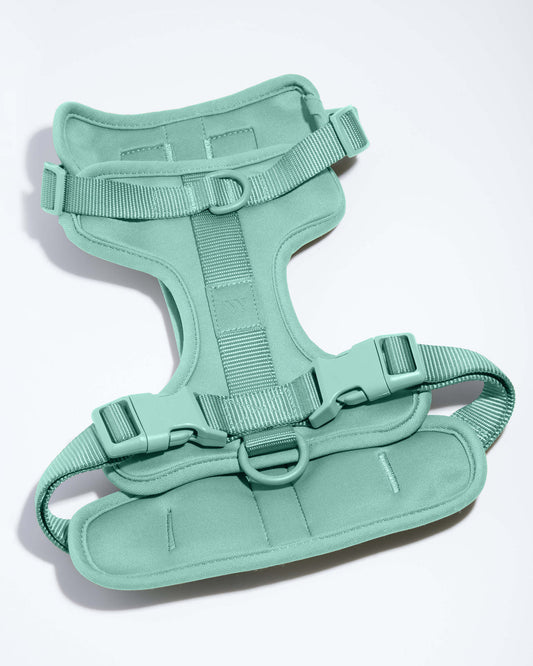 Wild One Dog Harness-Seafoam